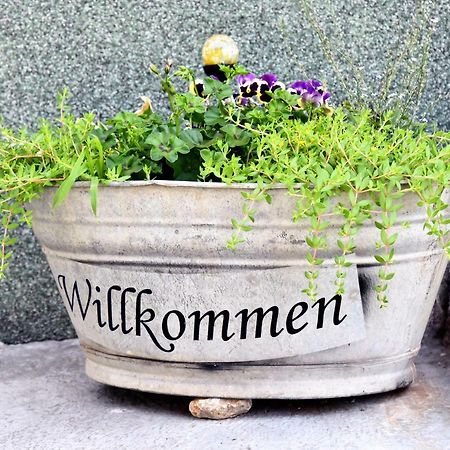 Ferienhaus "Am Gutspark" Alt Tucheband 외부 사진