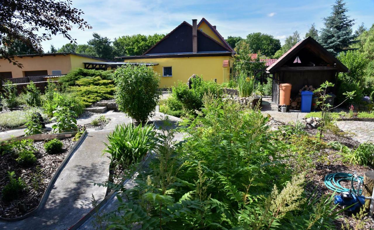 Ferienhaus "Am Gutspark" Alt Tucheband 외부 사진